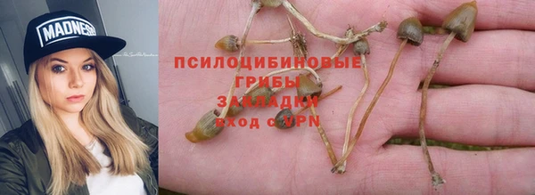 прущий лед Арсеньев