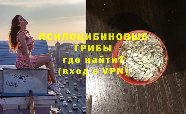 прущий лед Арсеньев