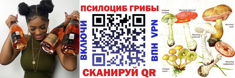 Галлюциногенные грибы Psilocybine cubensis  Усмань 